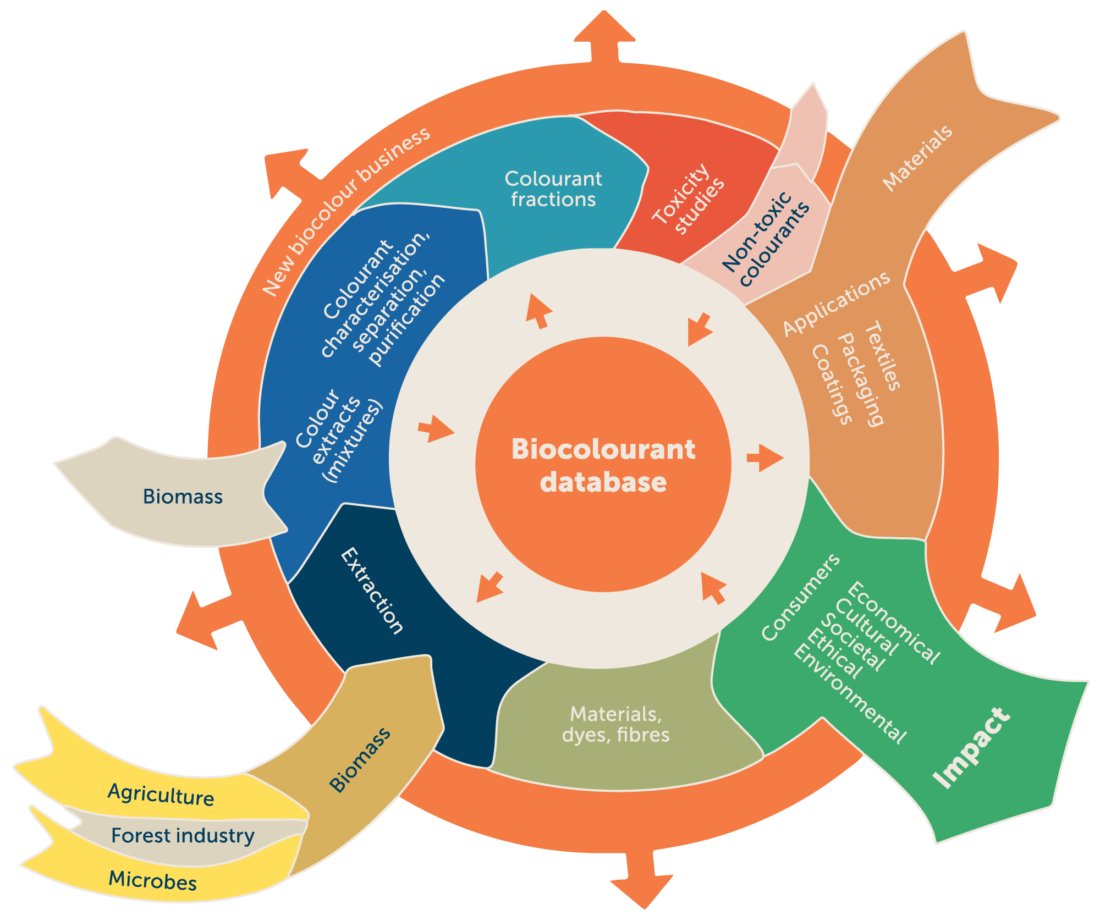About the project - Biocolour