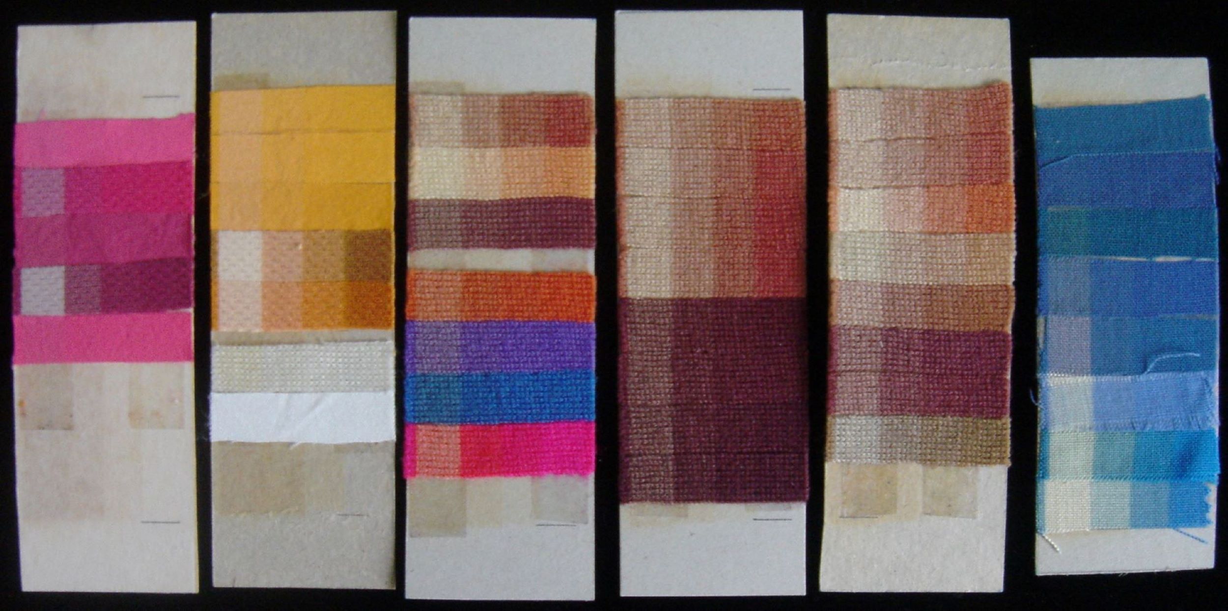 Cover for article 'Iiris Prize 2025 awarded to BioColour'