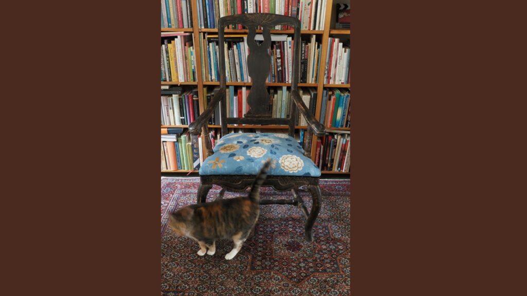 tuoli-ja-kissa-korjattu-1024x576.jpg
